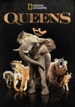 Queens (2024)